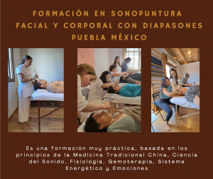 Formación Sonopuntura México
