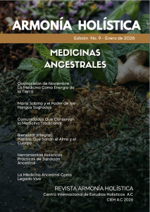 Revista holística enero 2026